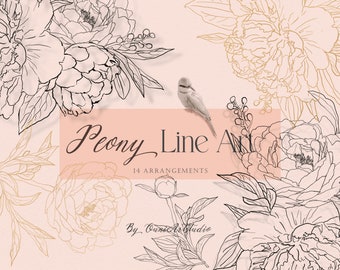 Peony, Floral Line Art, Botanical Clipart, Flower Line Art, Peony Line Art, Gold, Hand Drawn, Digital Flowers Arrangements, Boho Floral, PNG