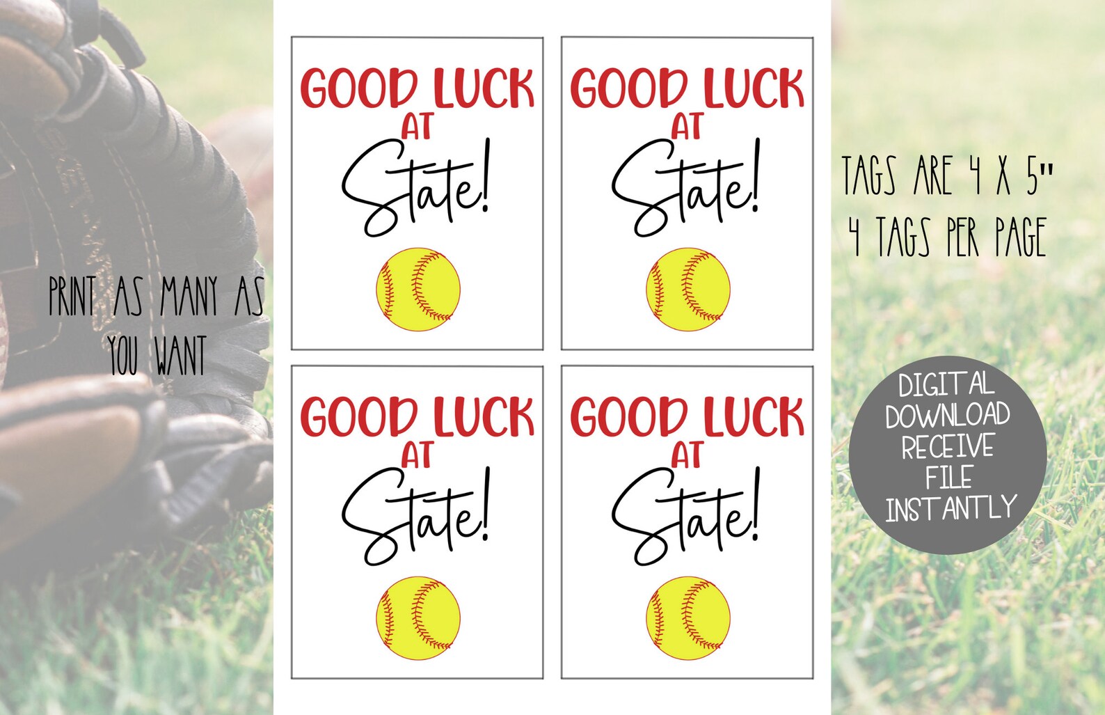 SOFTBALL Good Luck at State Printable Tag Team Good Luck Etsy