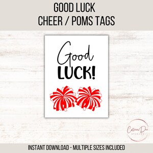 CHEER POM POMS Veel succes! Afdrukbare tag | Team Good Luck Tag | Afdrukbare tag | Teamtags pompons | Pom Poms Veel succes | Cheer Good Luck-tag