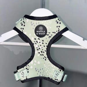 Mint Green Dog Harness, Adjustable Dog Harness, Matching Dog Harness