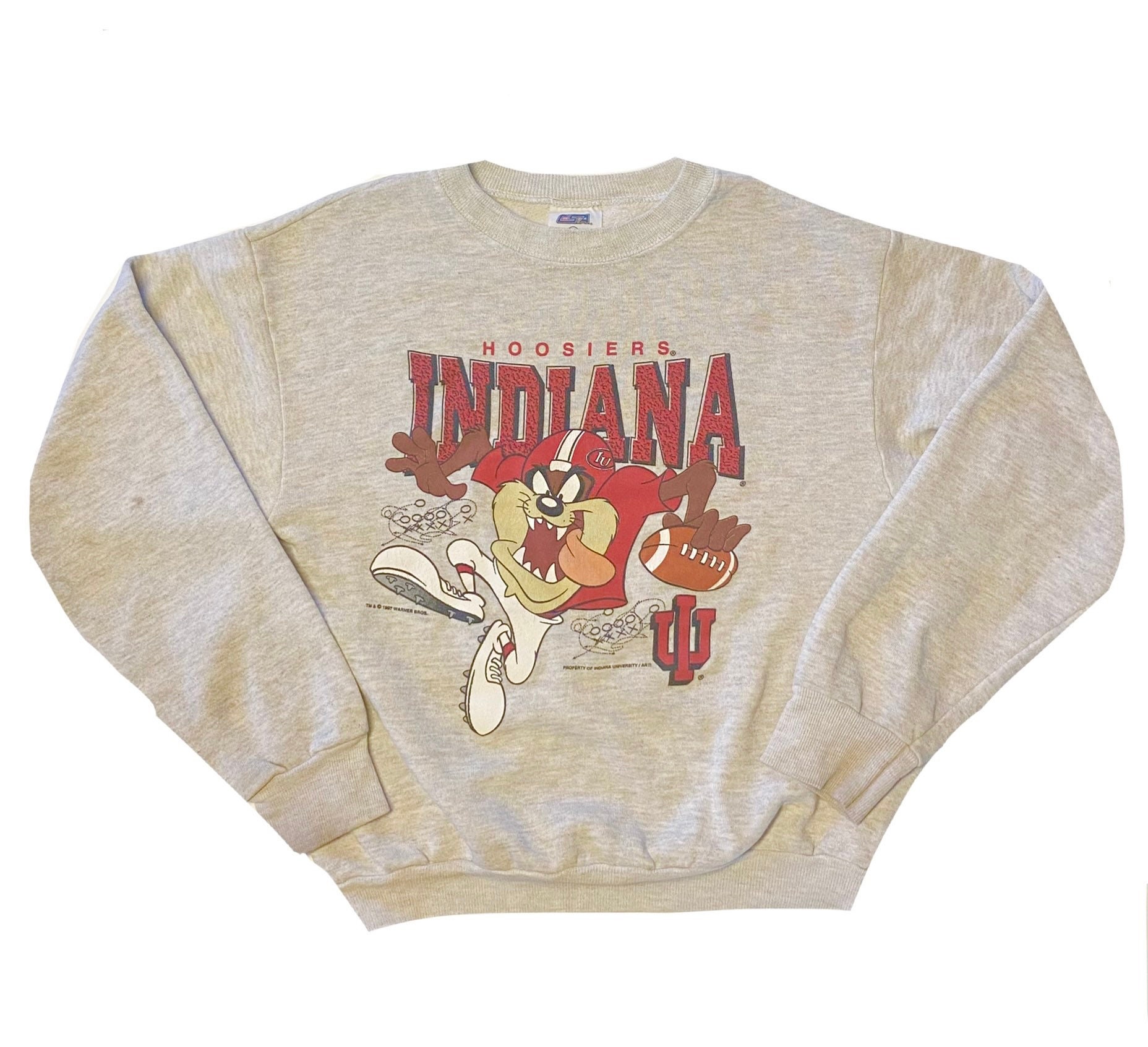 Vintage looney shop tunes sweatshirts