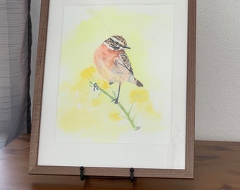 Framed original watercolor Whinchat