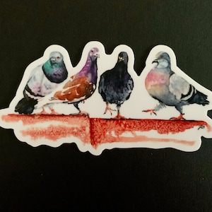 Sticker Tauben