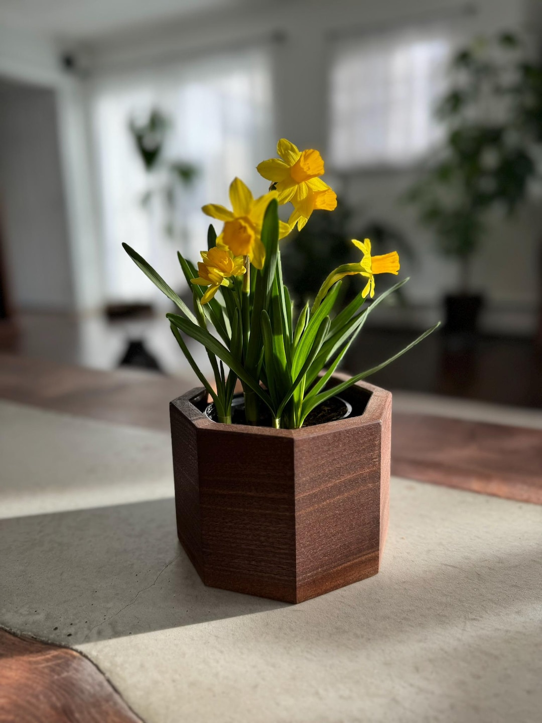 Octagon Planter - Etsy