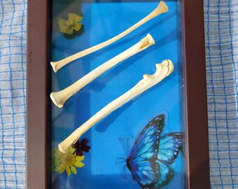 Bones art blue