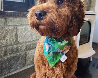 cockapoo bandana