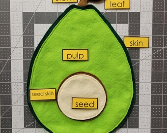 Parts of an Avocado Felt Puzzle, Alligator Pear Fruit Life Cycle, Montessori Waldorf material, Science Cultural, Pre-K Kindergarten Activity