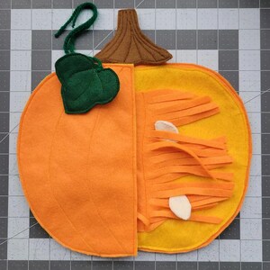 May include: A felt pumpkin toy with a removable top. The inside of the pumpkin is filled with orange felt strips and white felt seeds.