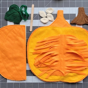 May include: A felt pumpkin craft activity for kids. The pumpkin is made of orange felt and has a removable top. The top has a felt stem and seeds. The inside of the pumpkin is filled with orange felt strips.