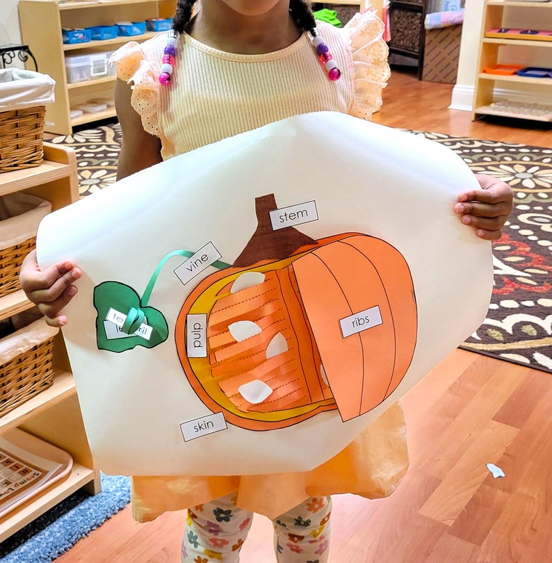 Parts of a Pumpkin Printable Worksheet, Montessori Prek Science Activity, Preschool ...