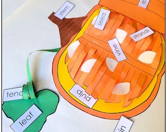 Parts of a Pumpkin Printable Worksheet, Montessori PreK Science Activity, Preschool, Kindergarten Autumn Fall Fruit Lesson- Digital Download