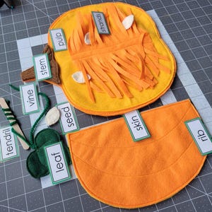 May include: A felt pumpkin learning activity with different parts of the pumpkin labeled. The parts include: stem, vine, tendril, leaf, seed, pulp, strands, skin, and rib.