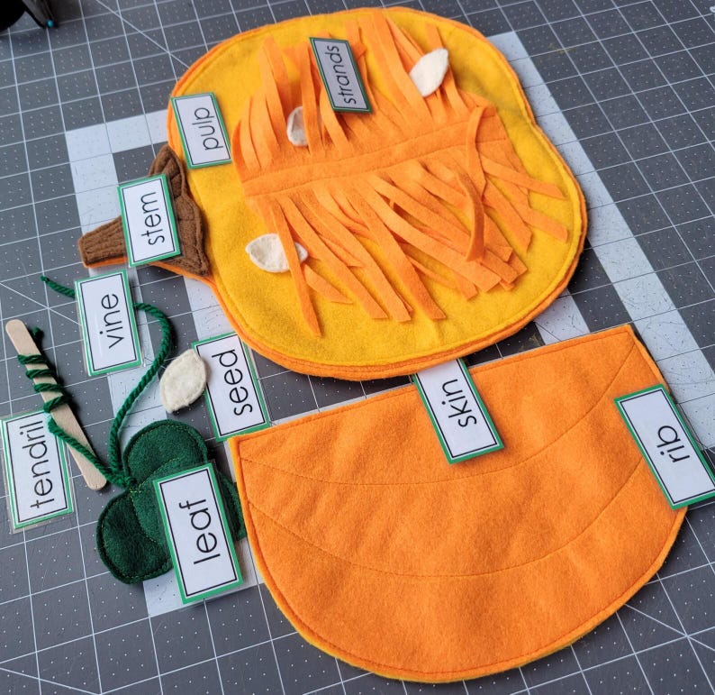 May include: A felt pumpkin learning activity with different parts of the pumpkin labeled. The parts include: stem, vine, tendril, leaf, seed, pulp, strands, skin, and rib.
