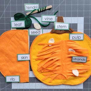 May include: A felt pumpkin teaching tool with labels for the different parts of a pumpkin, including the skin, pulp, strands, seed, stem, vine, tendril, leaf, and rib.