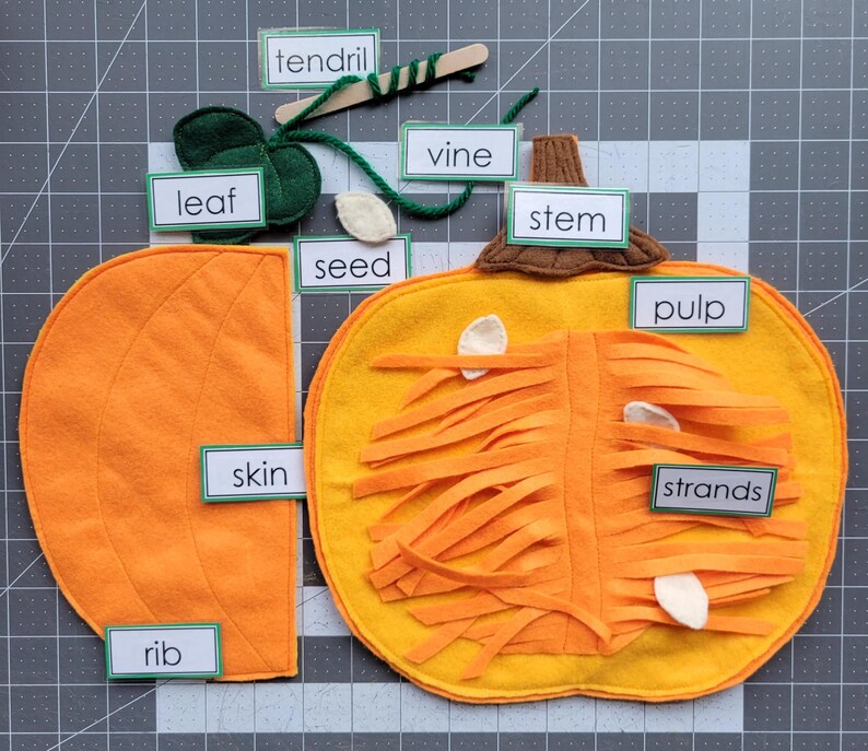 May include: A felt pumpkin teaching tool with labels for the different parts of a pumpkin, including the skin, pulp, strands, seed, stem, vine, tendril, leaf, and rib.