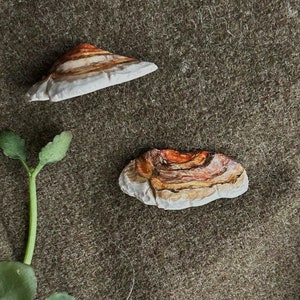 Handmade Mushroom Pins
