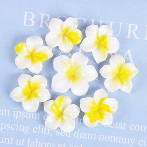 Frangipani Flower Resin Cabochons 16mm 21mm Floral Patch Sticker Embellishments Scrapbooking Phone Shell DIY