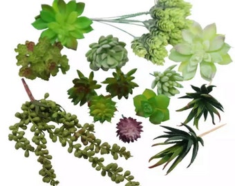 Juego de 14 suculentas artificiales para jardín, interior, color natural, decoración del hogar, arreglos de regalo, plantas de paisajismo para oficina, flores falsas.