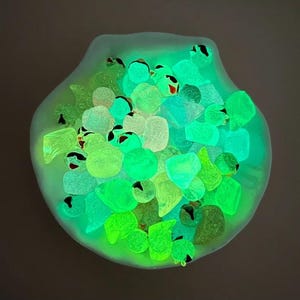 May include: A white seashell filled with glowing green, blue, and yellow glass pebbles. The pebbles are arranged in a random pattern and are illuminated by a black light.