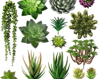 Juego de 14 suculentas artificiales para jardín, interior, color natural, decoración del hogar, arreglos de regalo, plantas de paisajismo para oficina, flores falsas.