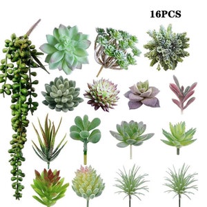 16 pièces ensemble de plantes succulentes artificielles jardin intérieur couleur naturelle décoration d&#39;intérieur bricolage arrangement cadeau bureau paysage plantes fausses fleurs