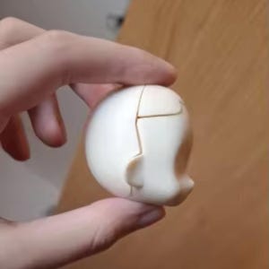 May include: A white ceramic doll head with a crack down the side. The head is partially separated, revealing the inside of the doll.