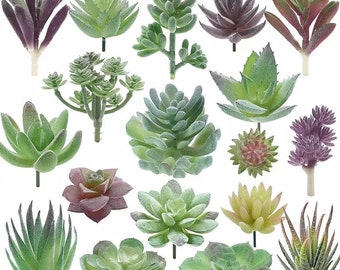 Juego de 18 suculentas artificiales para jardín, interior, color natural, decoración del hogar, arreglos de regalo, plantas de paisaje de oficina, flores falsas