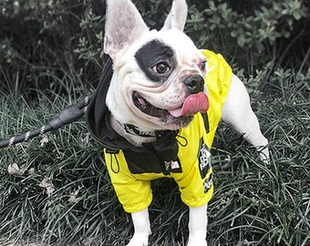 The Dog Face Dog Vest/waterproof Jacket 