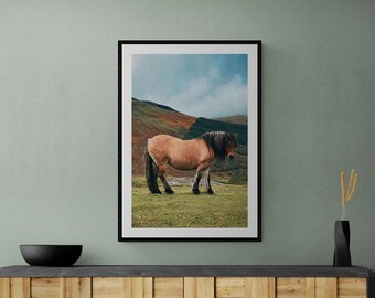 Highland Horse - POSTER PRINT - Unframed, Framed or Canvas Premium Print - Wall Art - Beautiful Pony - Shetland Pony
