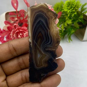 May include: A polished agate slice featuring concentric bands of dark brown, black, and translucent white. The stone has an irregular, jagged edge on one side and a smooth, straight edge on the other, displaying natural mineral layering patterns.