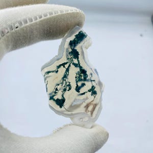 May include: A polished gemstone with an irregular shape, featuring a cream base and detailed green, tree-like patterns. The stone is held by a gloved hand, highlighting its natural beauty and unique design. The edges are translucent white.