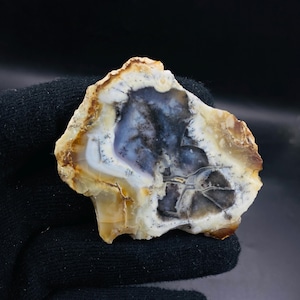 May include: A polished, irregularly shaped stone with a natural pattern. The stone features a mix of colors, including white, tan, brown, and shades of blue and black. The stone is held by a black glove.