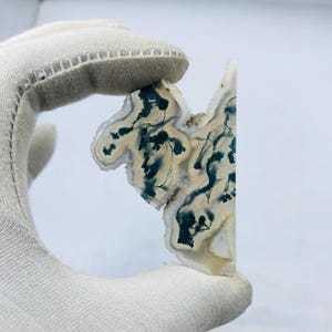 May include: A polished agate stone, cream-coloured with blue-green inclusions, held by a gloved hand. The stone's irregular shape and intricate patterns are highlighted, showcasing its natural beauty and unique veining.