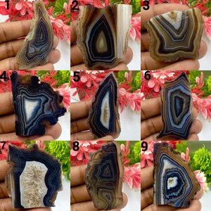 Puede incluir: Una colección de nueve rodajas de ágata pulida, cada una con bandas concéntricas distintivas en tonos marrón, azul, blanco y negro. Estos especímenes minerales translúcidos muestran patrones naturales únicos y bordes irregulares y dentados.