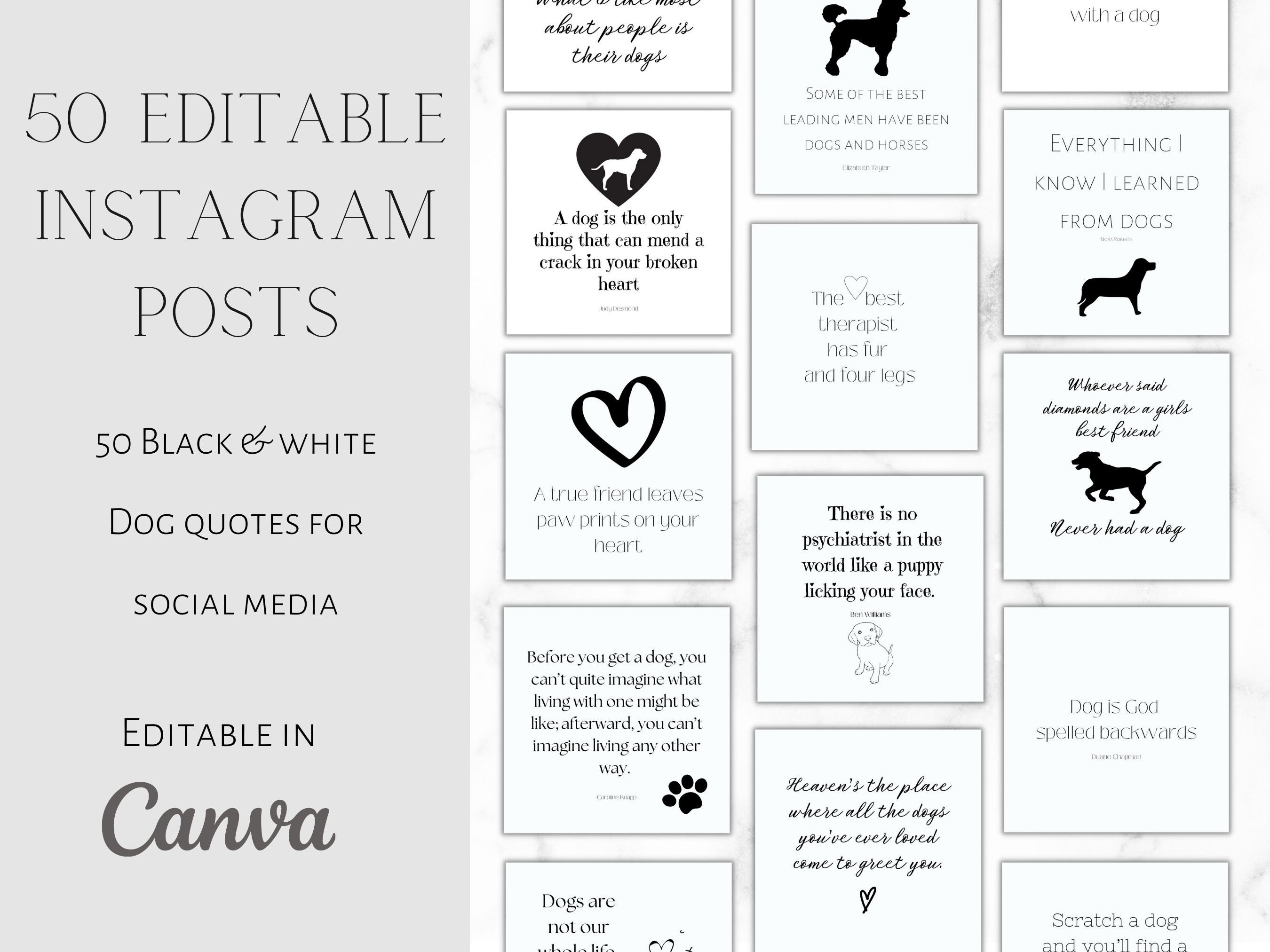 50 Instagram Dog Quote Post Templates for CANVA Social Media Etsy