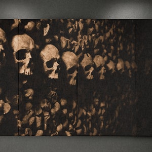 Soundproof Acoustic Wall Art Panel. Absorbing for Quality Sound Design. Les Catacombs Fine Art Photography Paris France. Momento Mori.