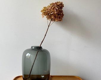 Fleurs d'hortensia sur une tige | fleurs séchées | Hortensias paniculaires | automne | branche de vase | Matériaux d'artisanat | Décoration d'automne | fleurs séchées