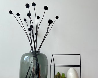 Drumsticks | Craspedia black | Dried flower | Spring | Branches for the vase | Flowering branch | Easter | Billy Ball