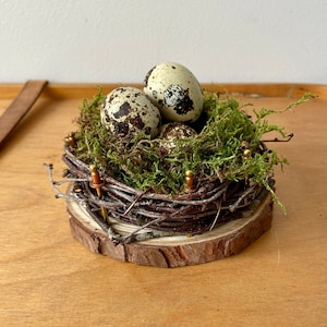 Op de afbeelding: Een klein vogelnest gemaakt van takjes en mos, met drie gevlekte kwarteleieren erin. Het nest ligt op een houten schijf, met gouden punaises die de takjes op hun plaats houden.
