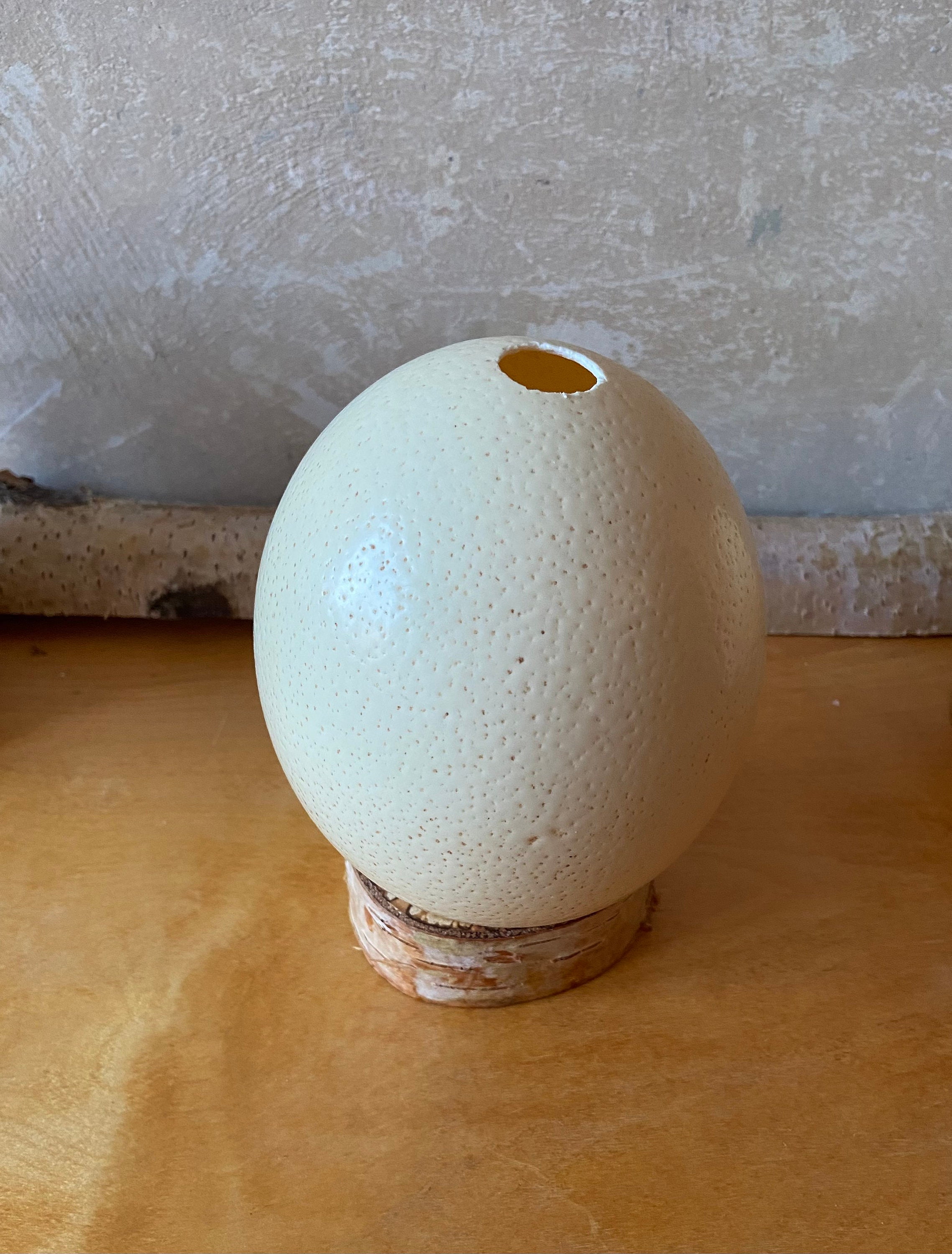 Œuf D'autruche Creux Naturel - Prêt à Décorer - Fait Main Américain