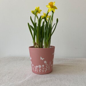 Peut inclure: Un pot de fleurs rose avec un motif floral blanc et des papillons. Le pot contient un groupe de jonquilles jaunes.