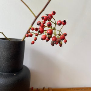 May include: A cluster of small, round, bright red rose hips attached to a thin brown stem, positioned inside a matte black cylindrical vase with a textured surface. The berries feature dark brown tips and are arranged in a natural, branching formation.