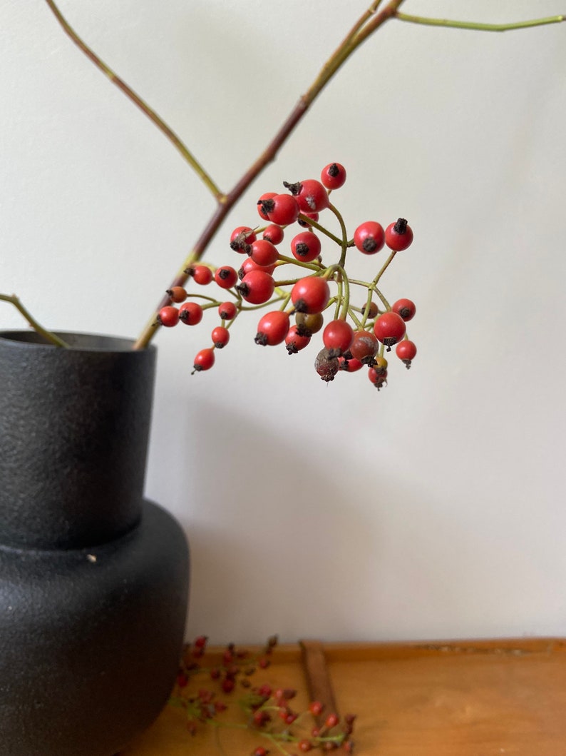 May include: A cluster of small, round, bright red rose hips attached to a thin brown stem, positioned inside a matte black cylindrical vase with a textured surface. The berries feature dark brown tips and are arranged in a natural, branching formation.