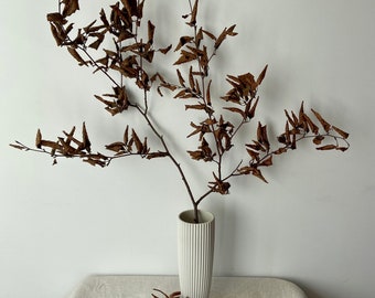 Buchenzweig| Zierzweig für die Vase | Naturzweig | braune Blätter