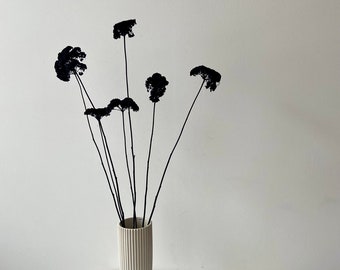 Achillea | schwarz | getröcknete Blüten | Achillea schwarz | Trockenblume | Frühling | Zweige für die Vase | Blütenzweig | Ostern | Home