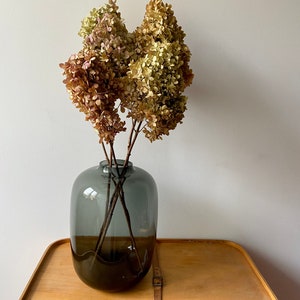 HortensienBlüten am Stiel getrocknete Blüten Rispenhortensien Herbst Vasenzweig Bastelmaterial Herbstdeko Trockenblumen Bild 9