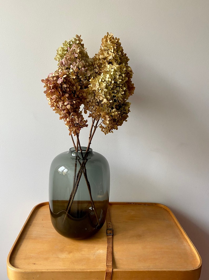 HortensienBlüten am Stiel getrocknete Blüten Rispenhortensien Herbst Vasenzweig Bastelmaterial Herbstdeko Trockenblumen Bild 9