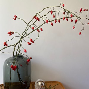 Peut inclure: Un vase en verre gris contient des branches avec des baies rouges. Le vase est posé sur une surface en bois avec un objet décoratif argenté et d'autres baies. Les baies sont d'un rouge vif.