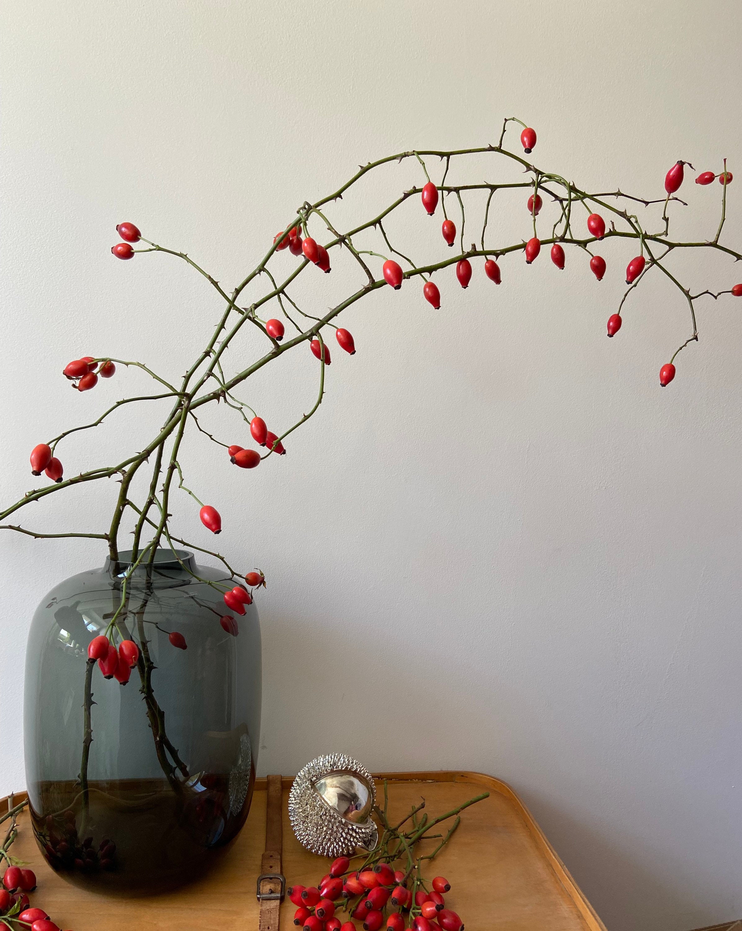 Hagebuttenzweig mit großen Früchten | Hagebutten | Hundsrose | Ranken | Herbst | Vasenzweig | Rot | Herbstdeko | Spätsommer