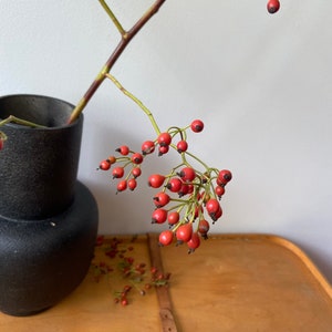 May include: A matte black ceramic vase with a rounded base and a cylindrical neck, containing a slender branch with numerous small, bright red rose hips. The branch extends outward, displaying clusters of round, vibrant red berries with dark tips.
